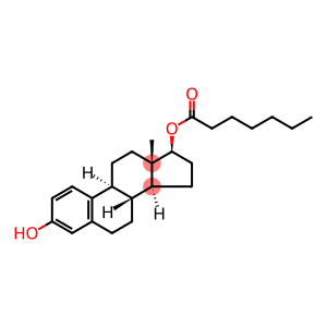 estra-1,3,5(10)-triene-3,17beta-diol 17-heptanoate
