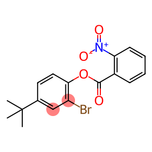 2-bromo-4-(tert-butyl)phenyl 2-nitrobenzoate
