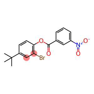 2-bromo-4-tert-butylphenyl 3-nitrobenzoate
