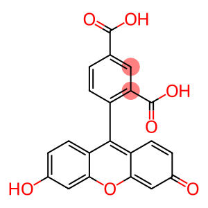 1,3-Benzenedicarboxylic acid, 4-(6-hydroxy-3-oxo-3H-xanthen-9-yl)-