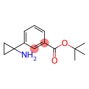 Benzoic acid, 3-(1-aminocyclopropyl)-, 1,1-dimethylethyl ester