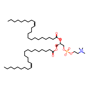 1,2-Di(cis-13-docosenoyl)-sn-glycero-3-phosphocholine