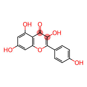 山柰酚-3 山柰黄酮醇