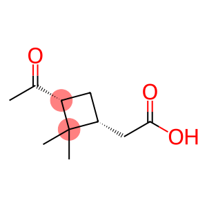 Cyclobutaneacetic acid, 3-acetyl-2,2-dimethyl-, (1R,3R)-
