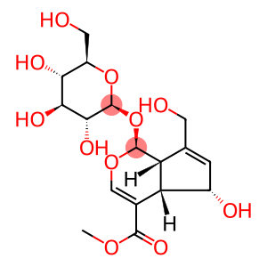 Deacetylasperuloside acid methyl ester