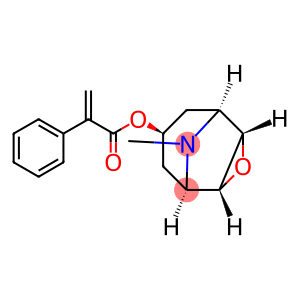 氢溴酸东莨菪碱杂质C(EP) 标准品