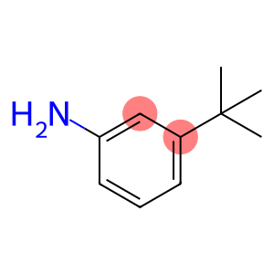 Benzenamine, 3-(1,1-dimethylethyl)-