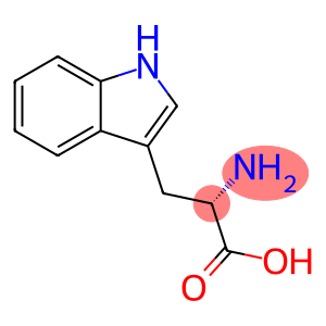 DL-氨基吲哚丙酸