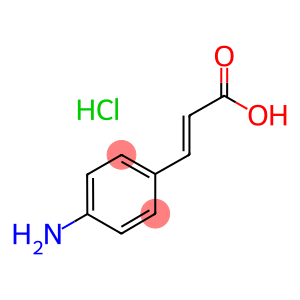 p-Aminocinnamic acid hydrochloride