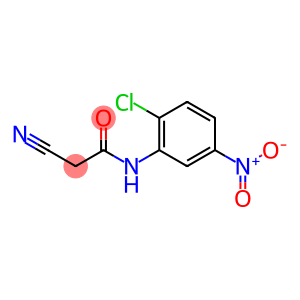 N-(2-氯-5-硝基-苯基)-2-氰基-乙酰胺
