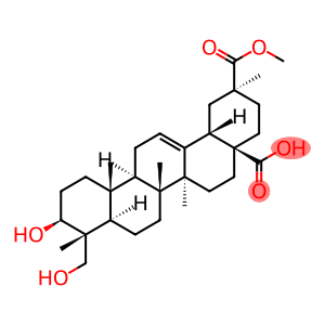 Phytolaccagenic Acid