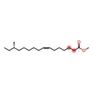 (7Z,14R)-14-Methyl-7-hexadecenoic acid methyl ester