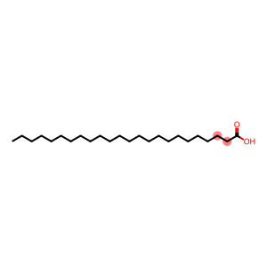 tetracosanoic acid