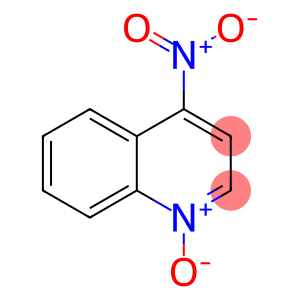 4-硝基氮氧化喹啉