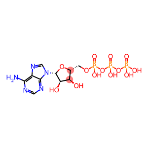 ((2R,3S,4R,5R)-5-(6-Amino-9H-purin-9-yl)-3,4-dihydroxytetrahydrofuran-2-yl)methyl tetrahydrogen triphosphate