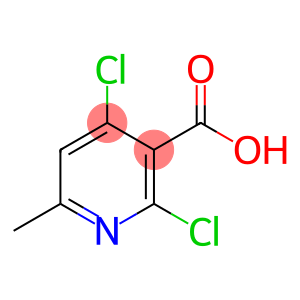 2,4-DICHLORO-6-METHYLNICOTINIC ACID