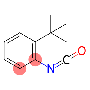 2-叔丁基异氰酸苯酯