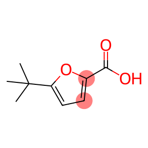 5-(叔丁基)呋喃-2-羧酸