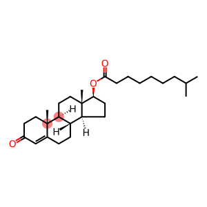 Testosterone 17-Isocaprate