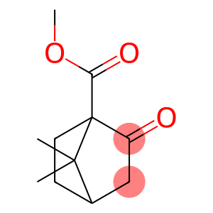 7,7-dimethyl-2-oxoBicyclo[2.2.1]heptane-1-carboxylic acid methyl ester