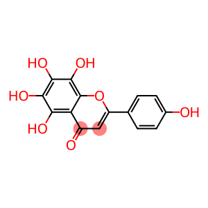2-(4-hydroxyphenyl)-5,6,7,8-tetrahydroxy-4H-1-benzopyran-4-one