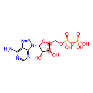 Adenosine 5'-(trihydrogen diphosphate)