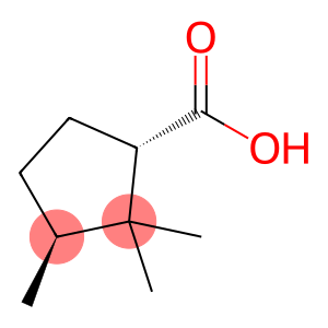 Cyclopentanecarboxylic acid, 2,2,3-trimethyl-, (1S,3S)- (9CI)