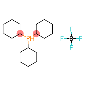 TricyclohexylphosphoniuM tetrafluoroborate,Cy3PH+BF4-