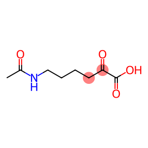 6-acetamido-2-oxohexanoic acid