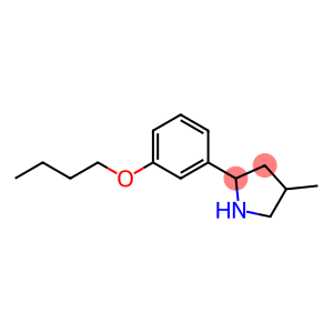 Pyrrolidine, 2-(3-butoxyphenyl)-4-methyl- (9CI)