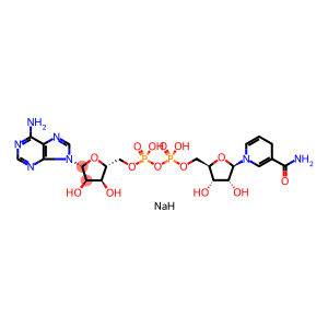还原型 Β-烟酰胺腺嘌呤二核苷酸 二钠盐