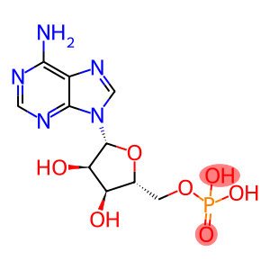 Adenosine-5-monophoshpate