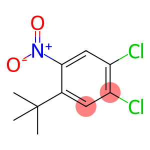 1,2-Dichloro-4-(1,1-diMethylethyl)-5-nitrobenzene
