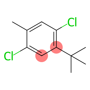 Benzene, 1,4-dichloro-2-(1,1-dimethylethyl)-5-methyl-