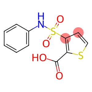 2-THIOPHENECARBOXYLIC ACID, 3-[(PHENYLAMINO)SULFONYL]-