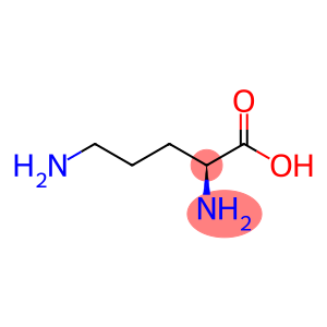 rac-(2R*)-2,5-Diaminopentanoic acid