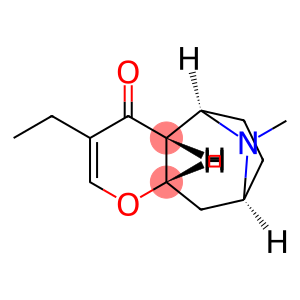 Cyclohepta[b]pyran-5,8-imin-4(4aH)-one, 3-ethyl-5,6,7,8,9,9a-hexahydro-10-methyl-, (4aR,5R,8S,9aS)- (9CI)