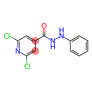 2,6-DICHLORO-N'-PHENYLISONICOTINOHYDRAZIDE