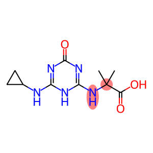 2-[[6-(cyclopropylamino)-4-oxo-1H-1,3,5-triazin-2-yl]amino]-2-methylpropanoic acid