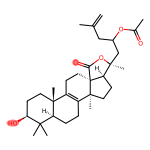 23-Acetoxy-3β,20-dihydroxy-5α-lanosta-8,25-dien-18-oic acid γ-lactone