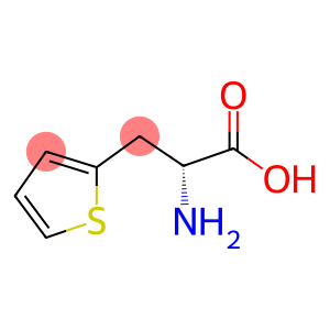 D-2-噻吩基丙氨酸