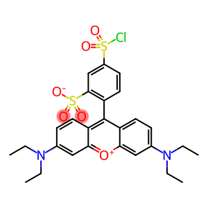 sulforhodamine B acid chloride