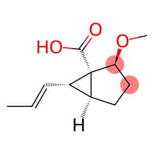 Bicyclo[3.1.0]hexane-1-carboxylic acid, 2-methoxy-6-(1E)-1-propenyl-, (1R,2S,5S,6S)-rel- (9CI)