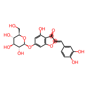 2-[(Z)-(3,4-Dihydroxyphenyl)methylene]-4-hydroxy-6-(β-D-glucopyranosyloxy)-3(2H)-benzofuranone