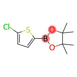 2-(5-Chloro-2-thienyl)-4,4,5,5-tetramethyl-1,3,2-dioxaborolane