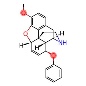 6,7-Didehydro-4,5α-epoxy-3-methoxy-8β-phenoxymorphinan