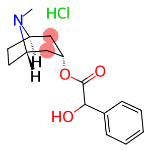 (8-methyl-8-azabicyclo[3.2.1]octan-3-yl) 2-hydroxy-2-phenyl-ethanoate hydrochloride