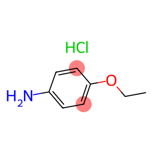 P-PHENETIDINE HYDROCHLORIDE