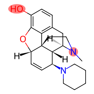 6,7-Didehydro-4,5α-epoxy-17-methyl-8β-piperidinomorphinan-3-ol