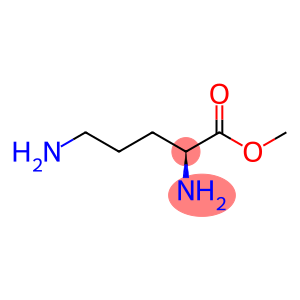 Ornithine methyl ester